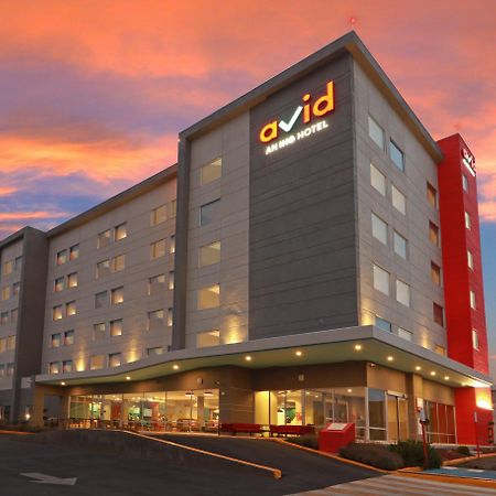 Avid Hotel - Fresnillo By Ihg Fresnillo de Gonzalez Echeverria Luaran gambar